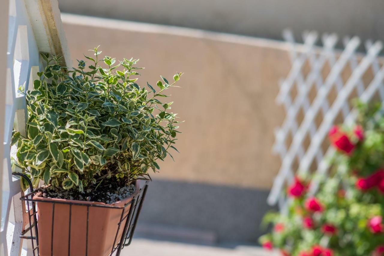 Apartmani Marija マリンスカ エクステリア 写真